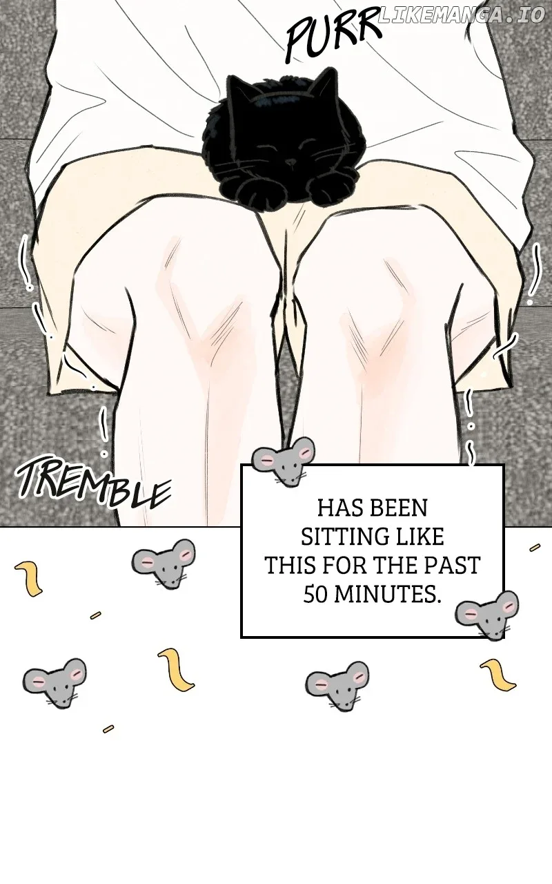 Want to See My Cat? Chapter 48 page 33