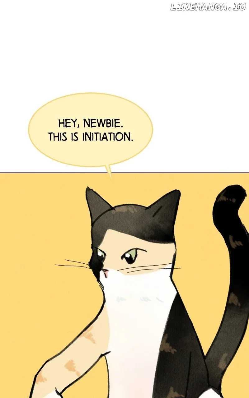 Want to See My Cat? Chapter 48 page 36