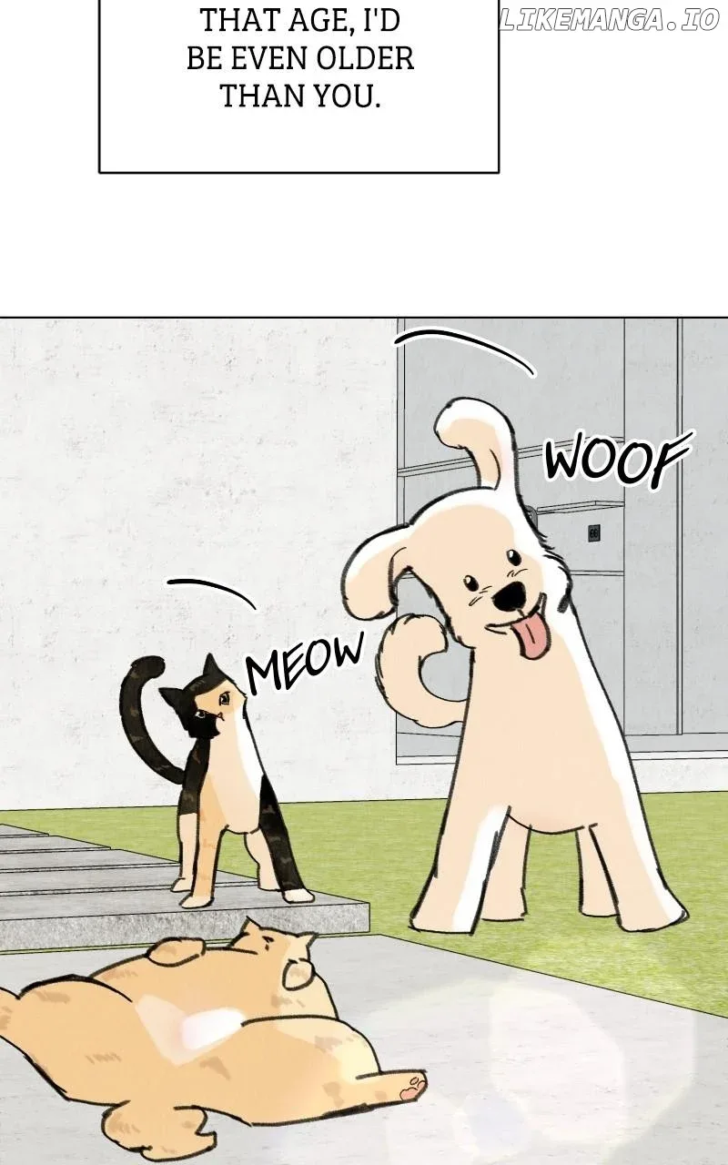 Want to See My Cat? Chapter 50 page 34