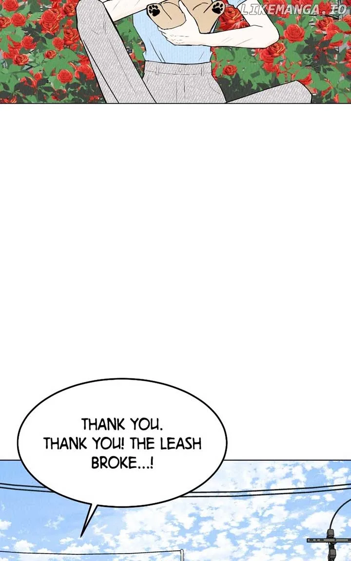 Want to See My Cat? Chapter 55 page 62