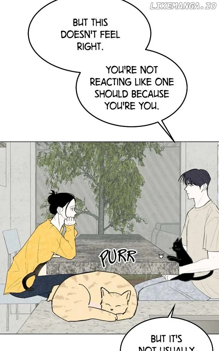 Want to See My Cat? Chapter 54 page 49