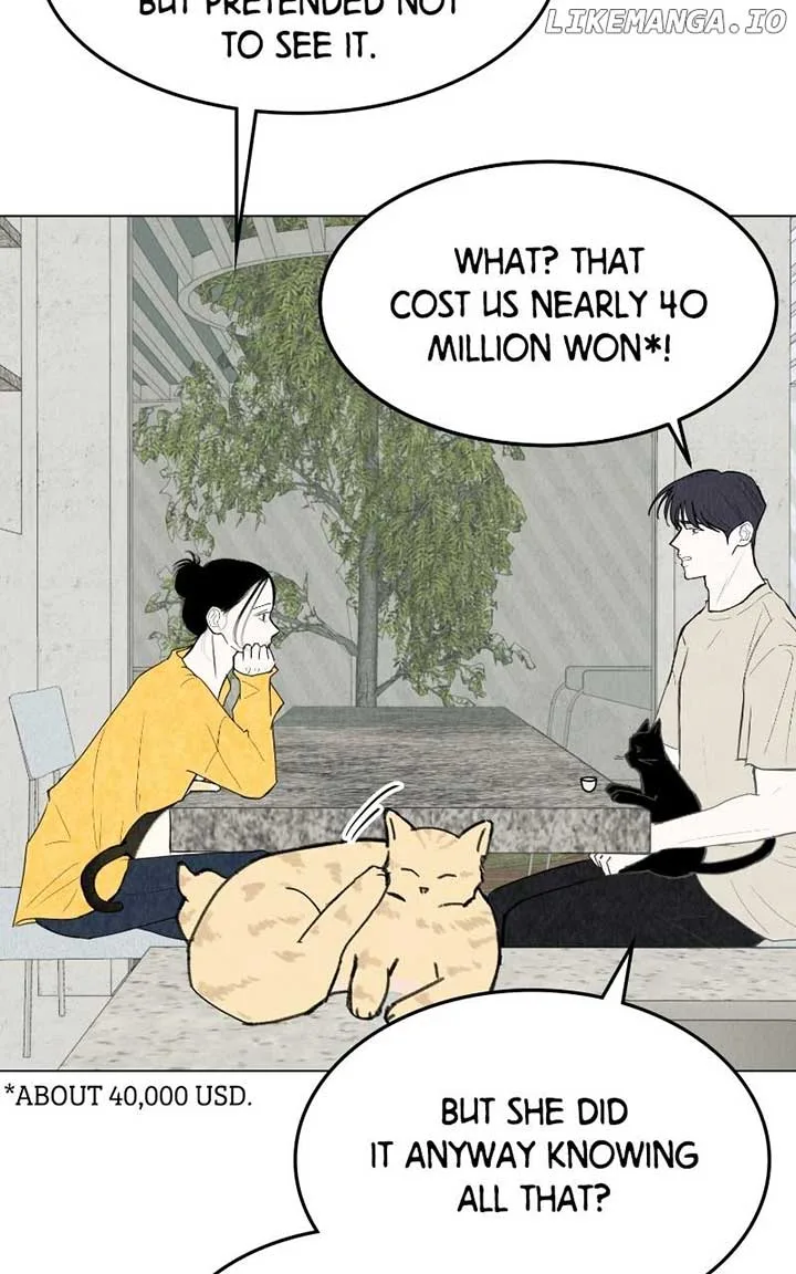 Want to See My Cat? Chapter 54 page 52