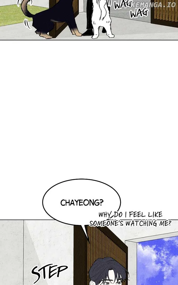 Want to See My Cat? Chapter 57 page 3