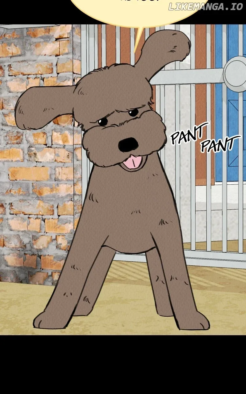 Want to See My Cat? Chapter 58 page 42