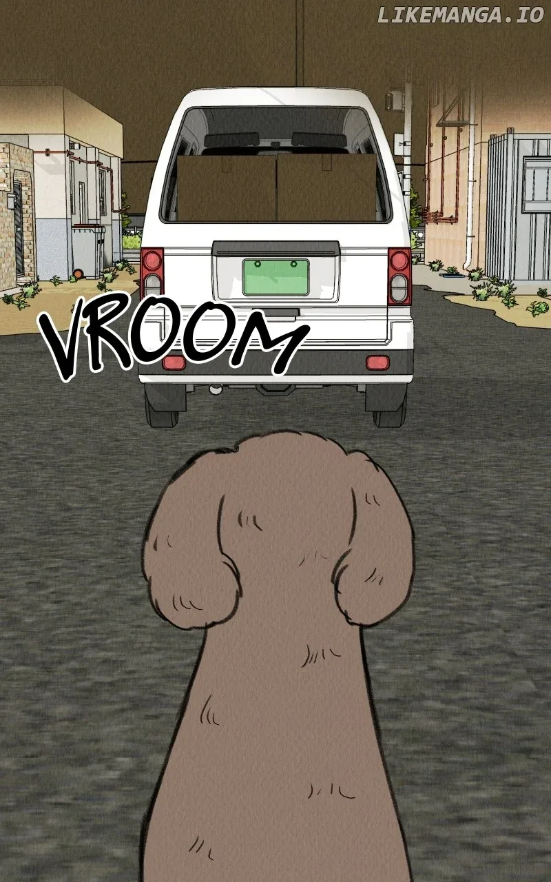 Want to See My Cat? Chapter 58 page 47