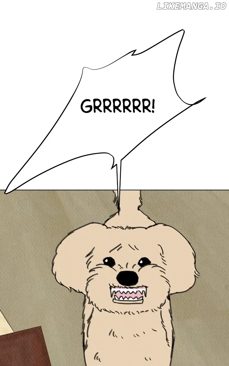 Want to See My Cat? Chapter 59 page 39