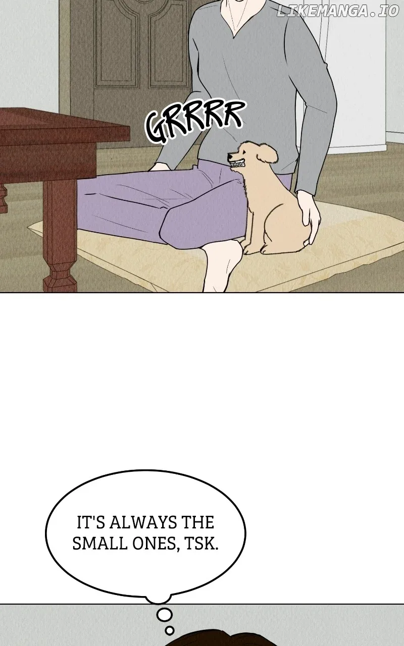 Want to See My Cat? Chapter 59 page 41