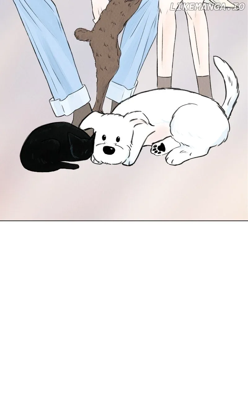 Want to See My Cat? Chapter 63 page 78