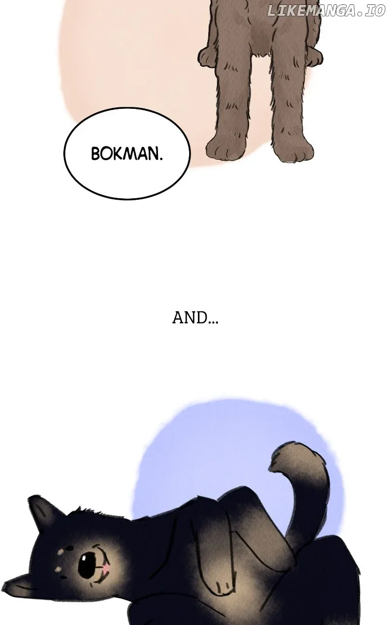 Want to See My Cat? Chapter 63 page 74