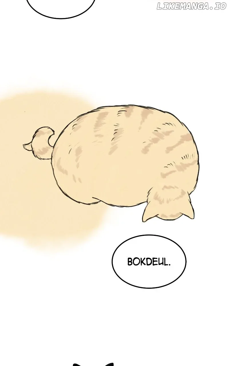 Want to See My Cat? Chapter 63 page 72