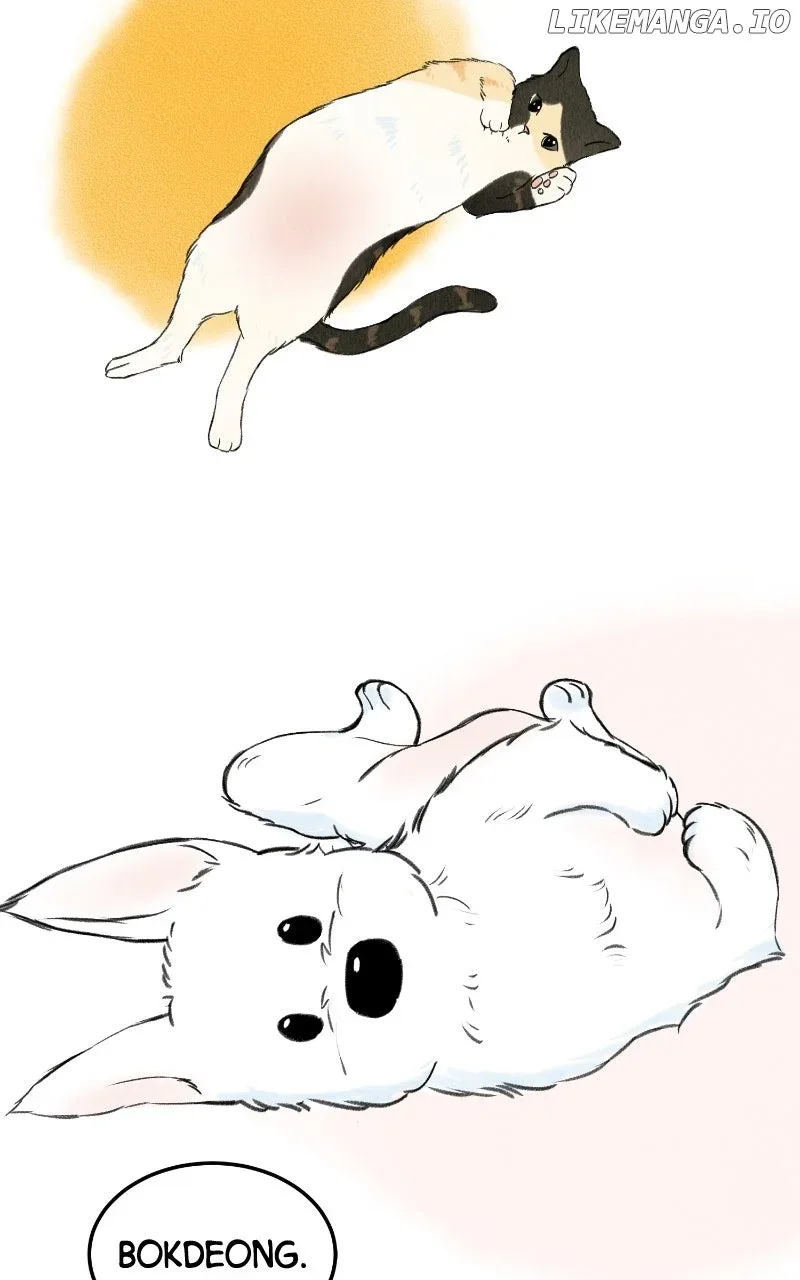 Want to See My Cat? Chapter 63 page 71