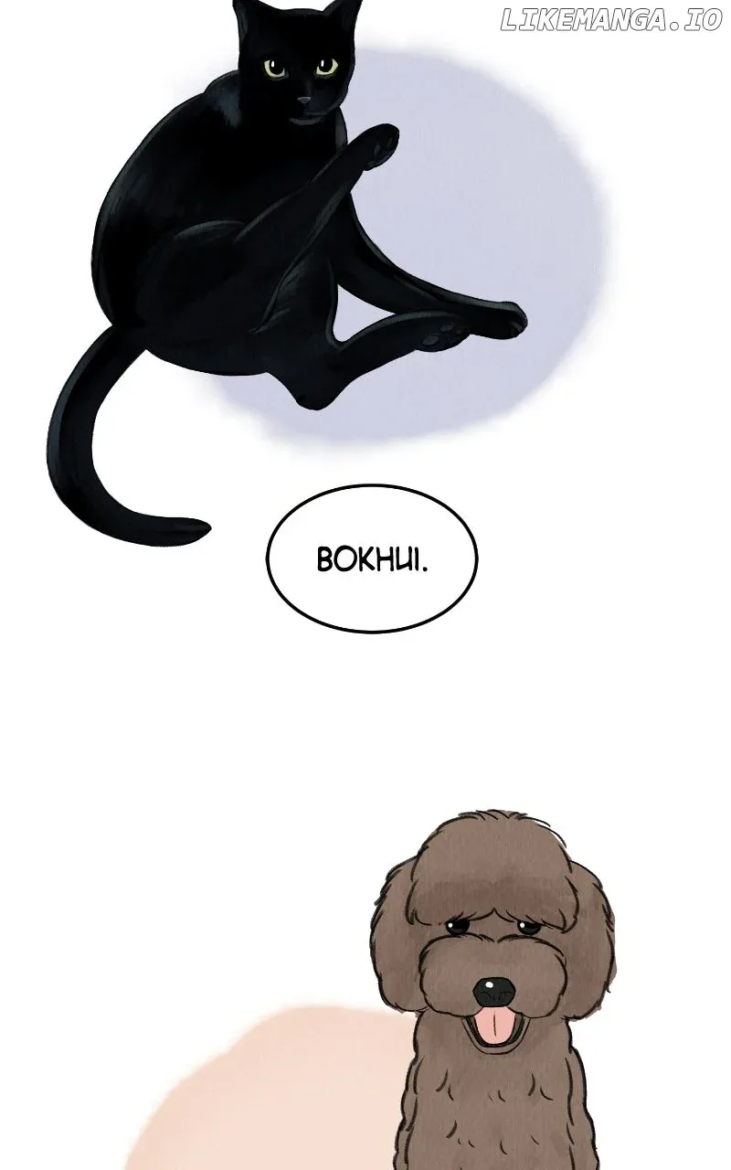Want to See My Cat? Chapter 63 page 73