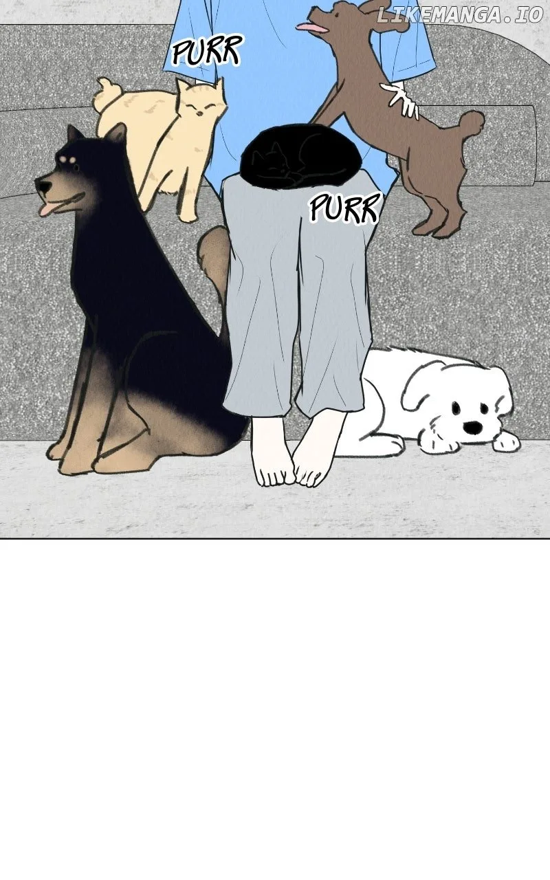Want to See My Cat? Chapter 65 page 33