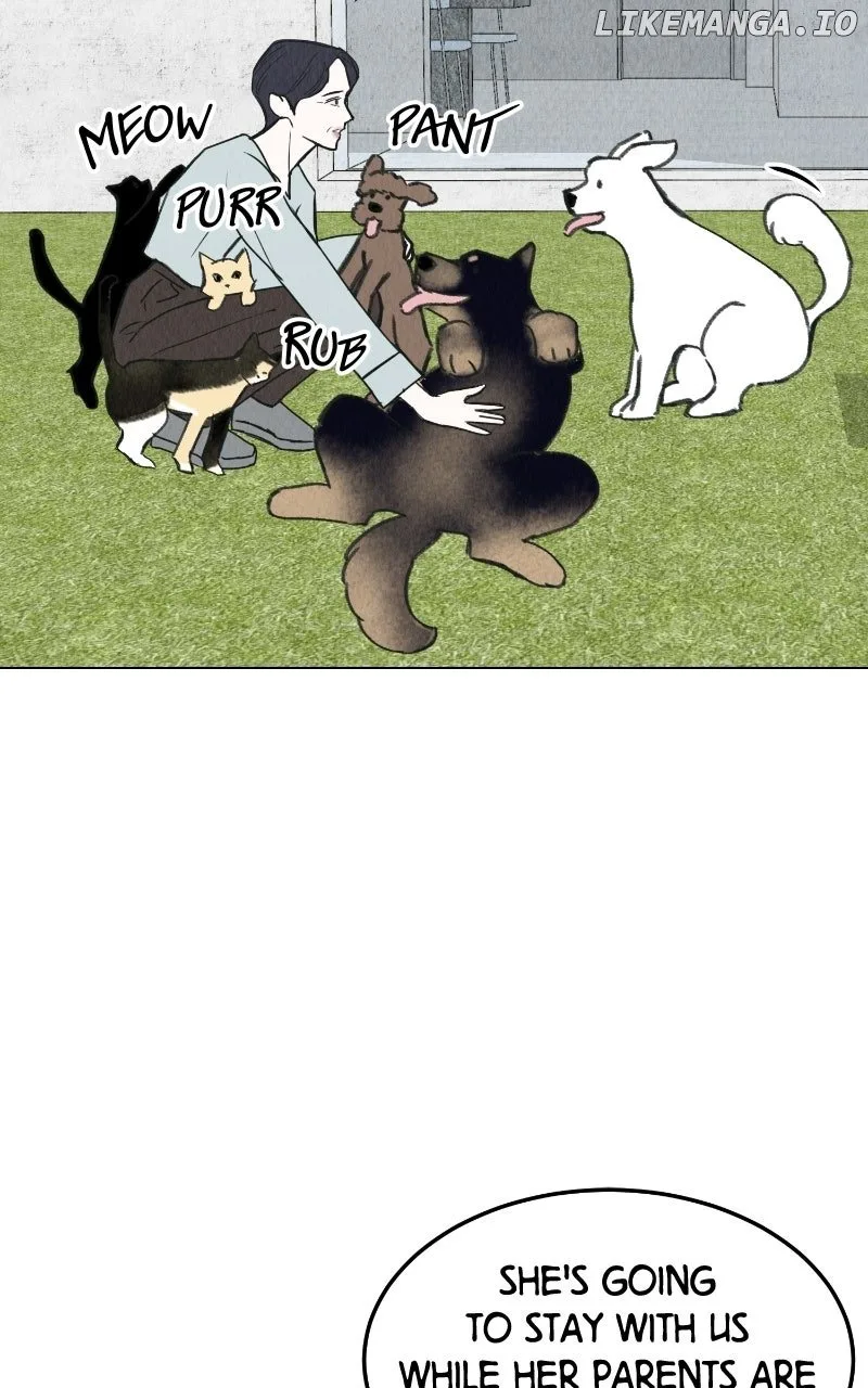 Want to See My Cat? Chapter 65 page 38