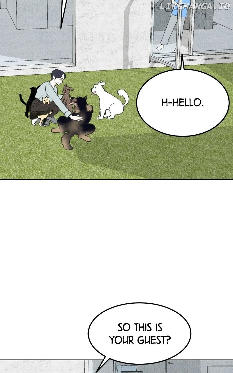Want to See My Cat? Chapter 65 page 37