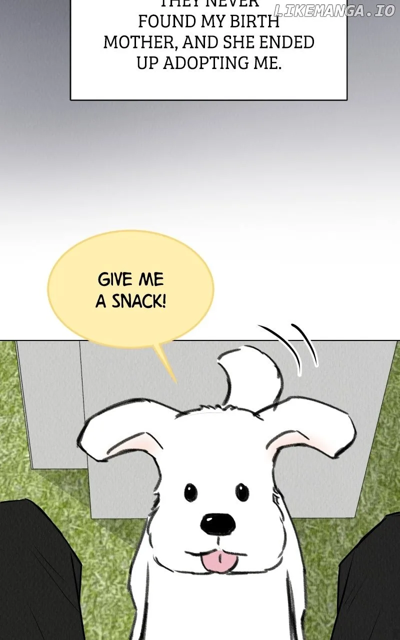 Want to See My Cat? Chapter 65 page 64