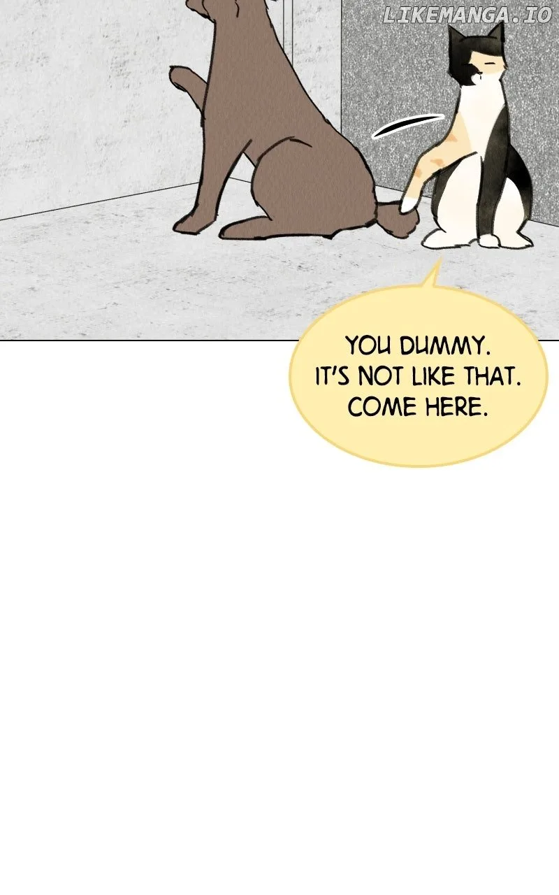 Want to See My Cat? Chapter 69 page 64