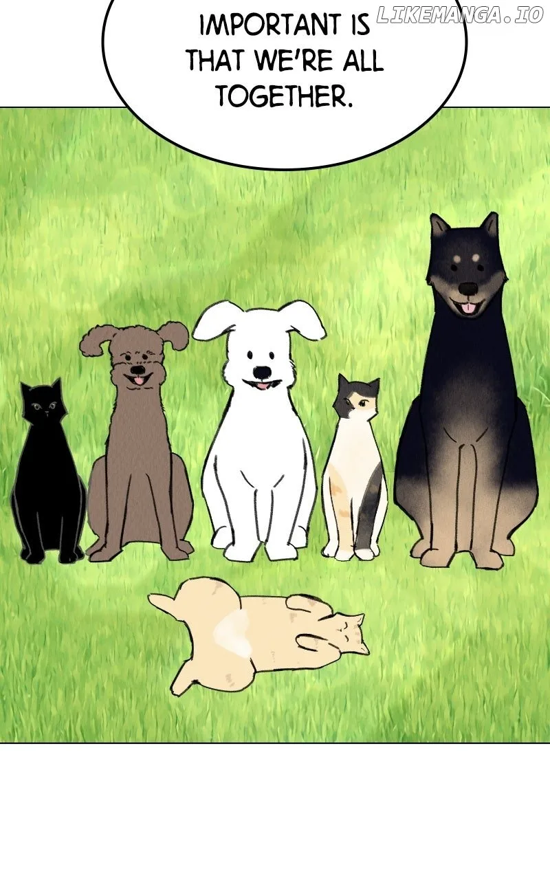 Want to See My Cat? Chapter 69 page 43