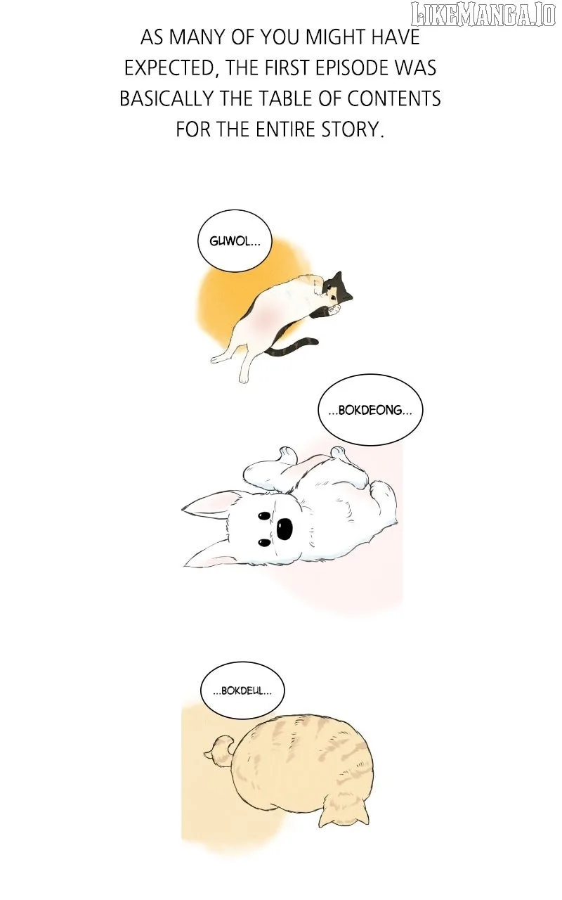 Want to See My Cat? Chapter 71 page 8