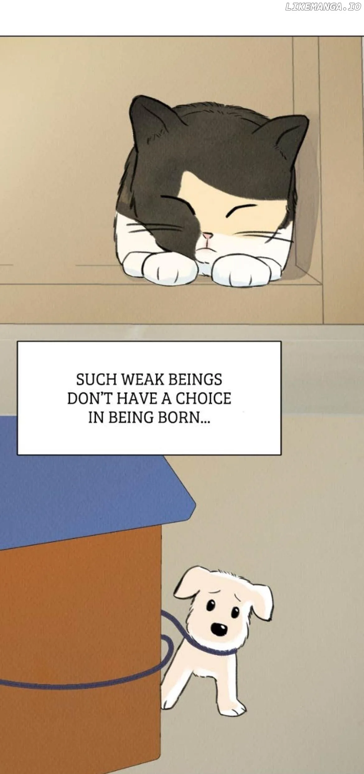 Want to See My Cat? Chapter 70 page 16