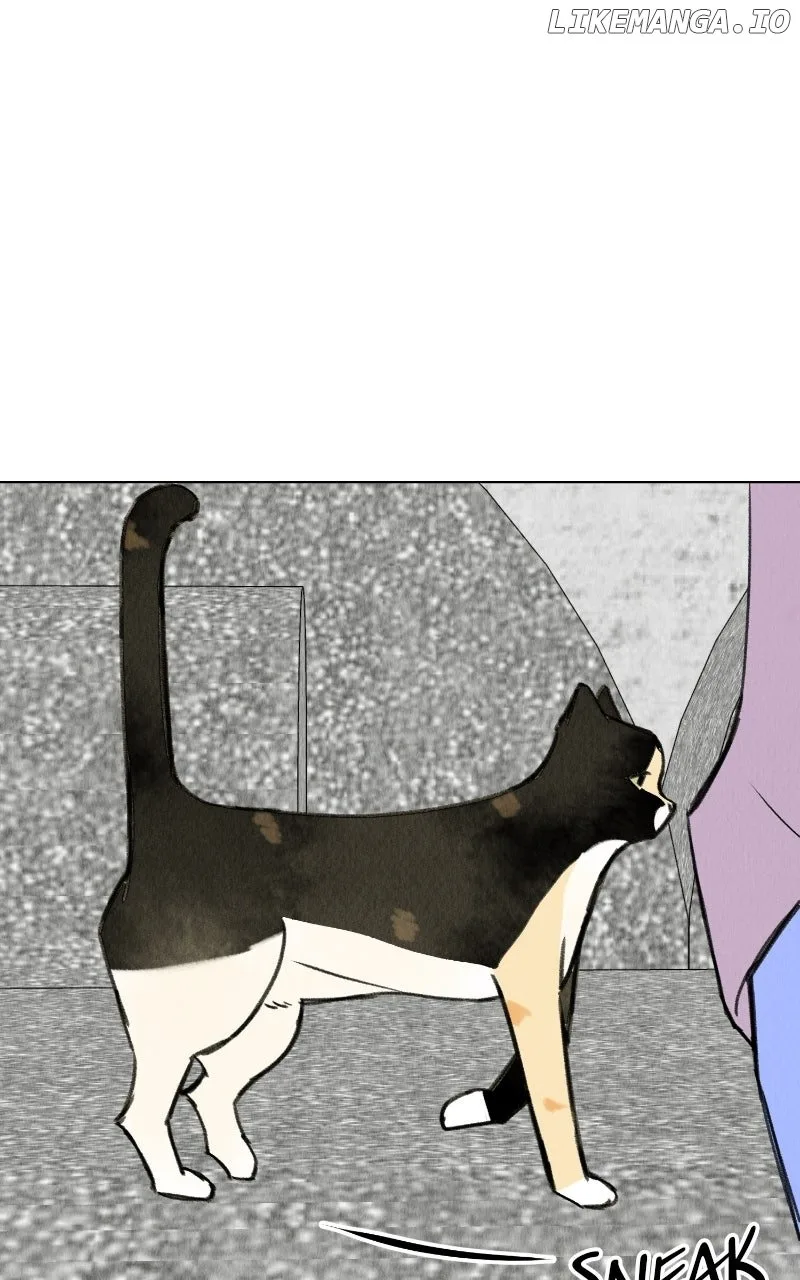Want to See My Cat? Chapter 68 page 27