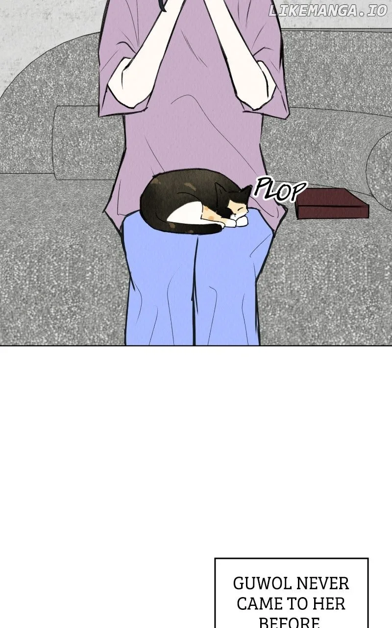 Want to See My Cat? Chapter 68 page 29