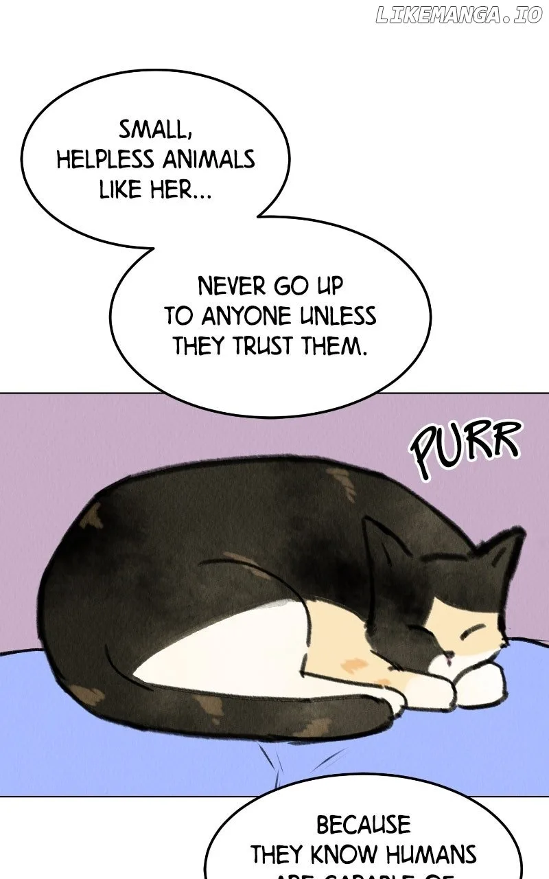 Want to See My Cat? Chapter 68 page 32