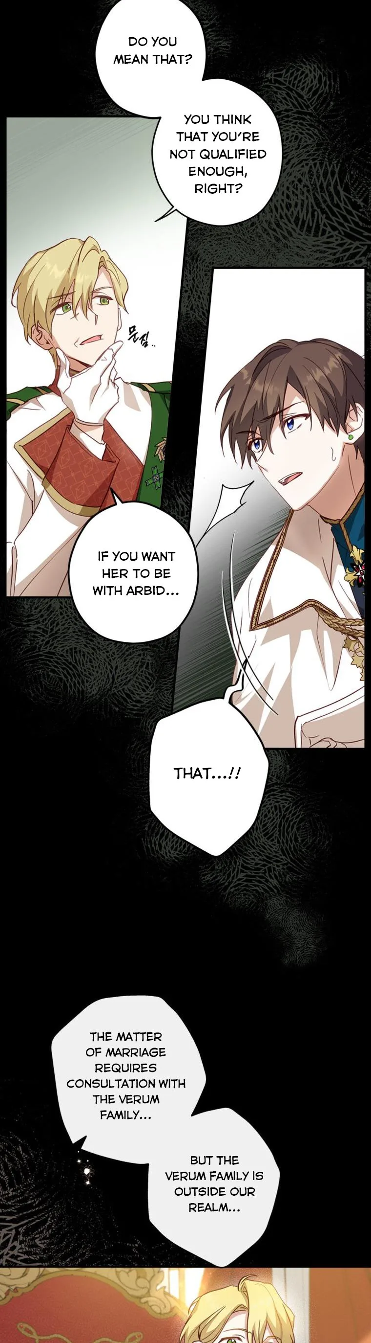 Wasn’t the Male Lead a Female? Chapter 17 page 12