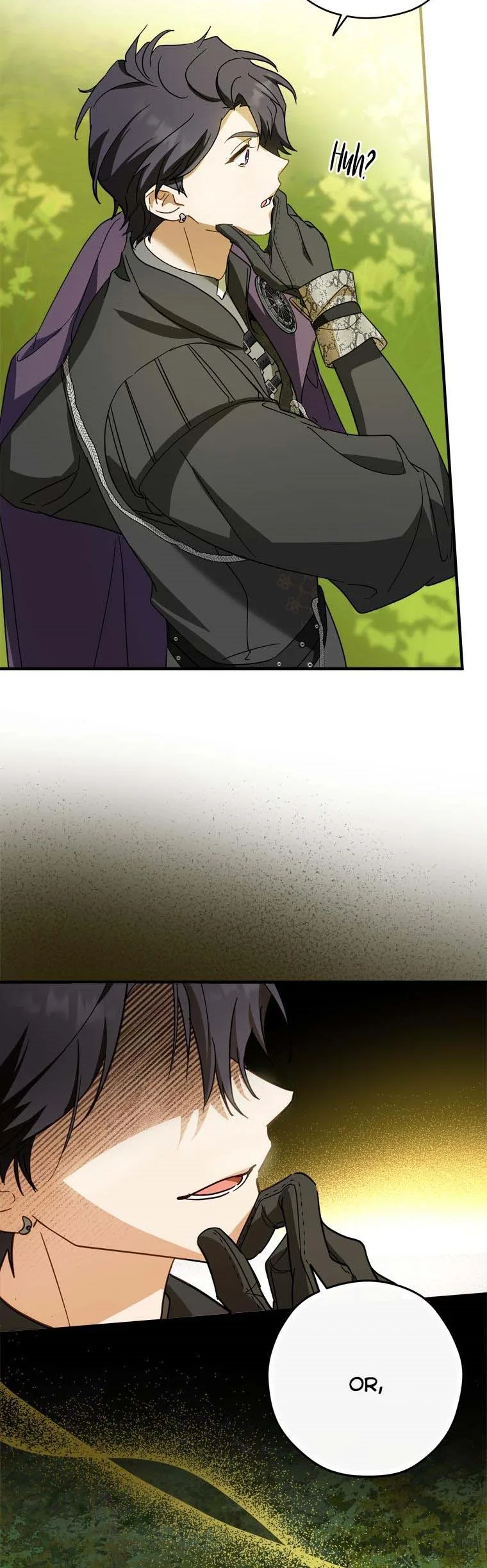 Wasn’t the Male Lead a Female? Chapter 31 page 29