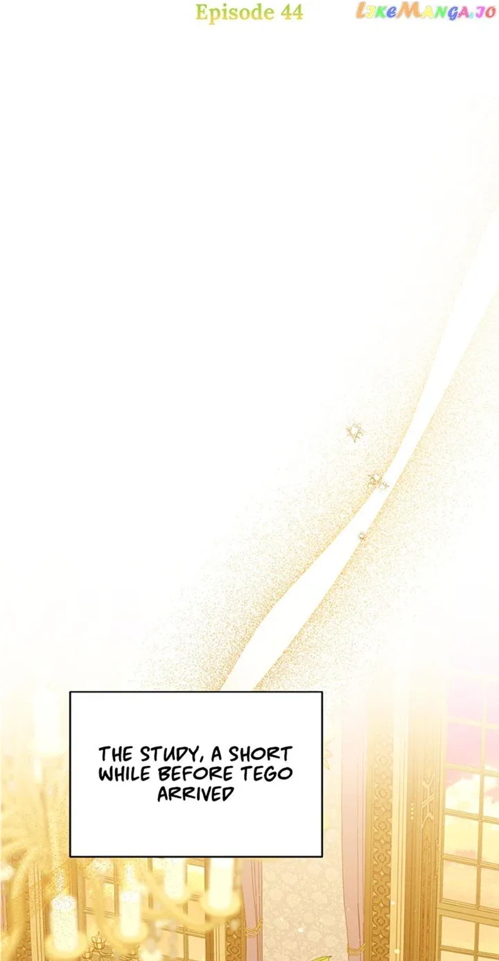 Wasn’t the Male Lead a Female? Chapter 44 page 9