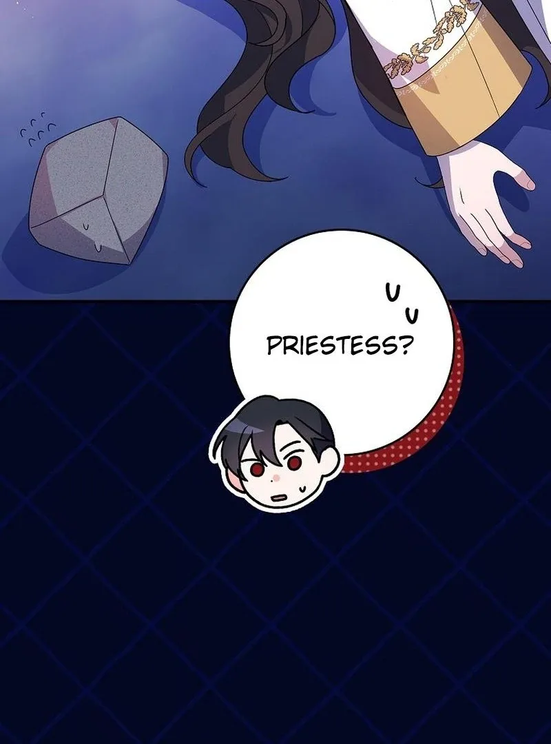 Wasn’t this supposed to be a strategy game? Chapter 16 page 113