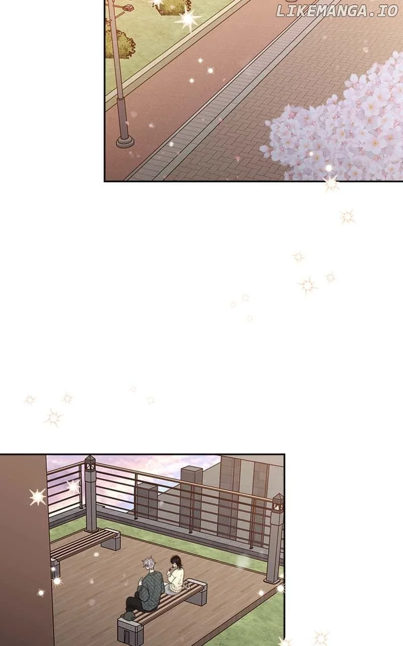 Wedding Strategy Chapter 33 page 44