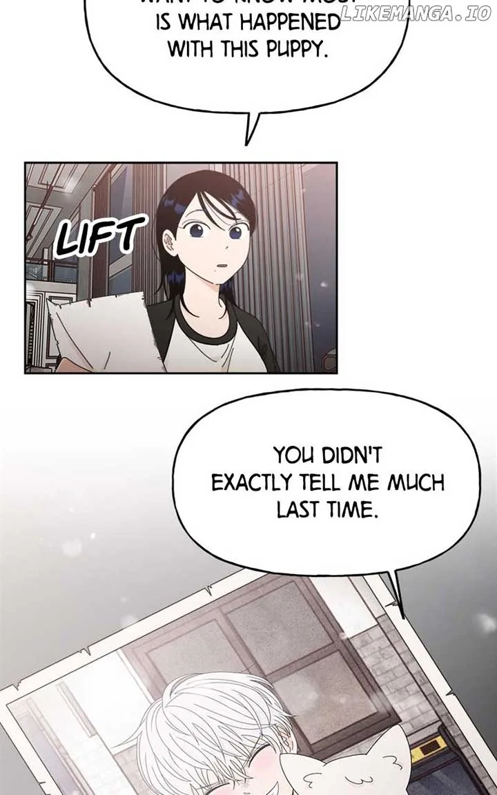 Wedding Strategy Chapter 50 page 11