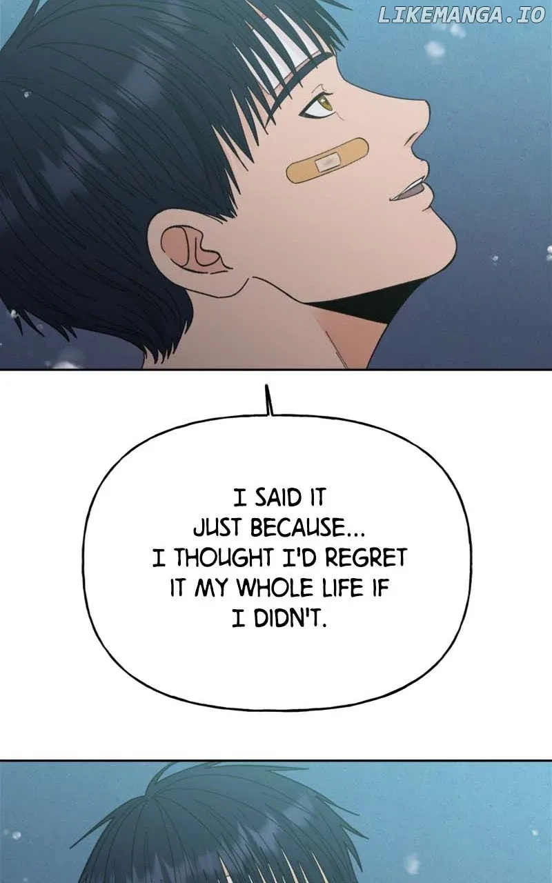 Wedding Strategy Chapter 64 page 47