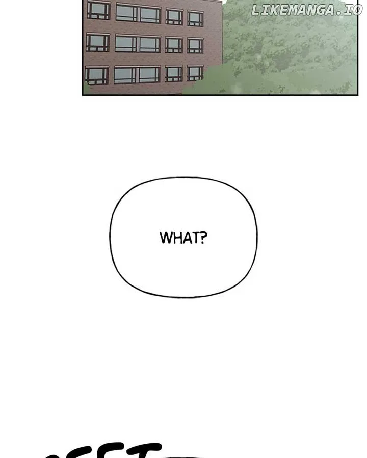Wedding Strategy Chapter 69 page 3