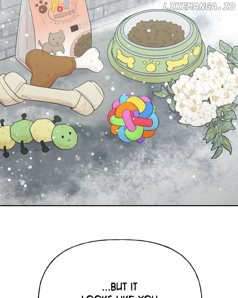 Wedding Strategy Chapter 78 page 30