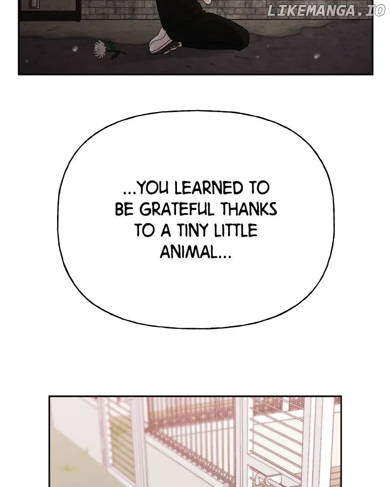 Wedding Strategy Chapter 78 page 53