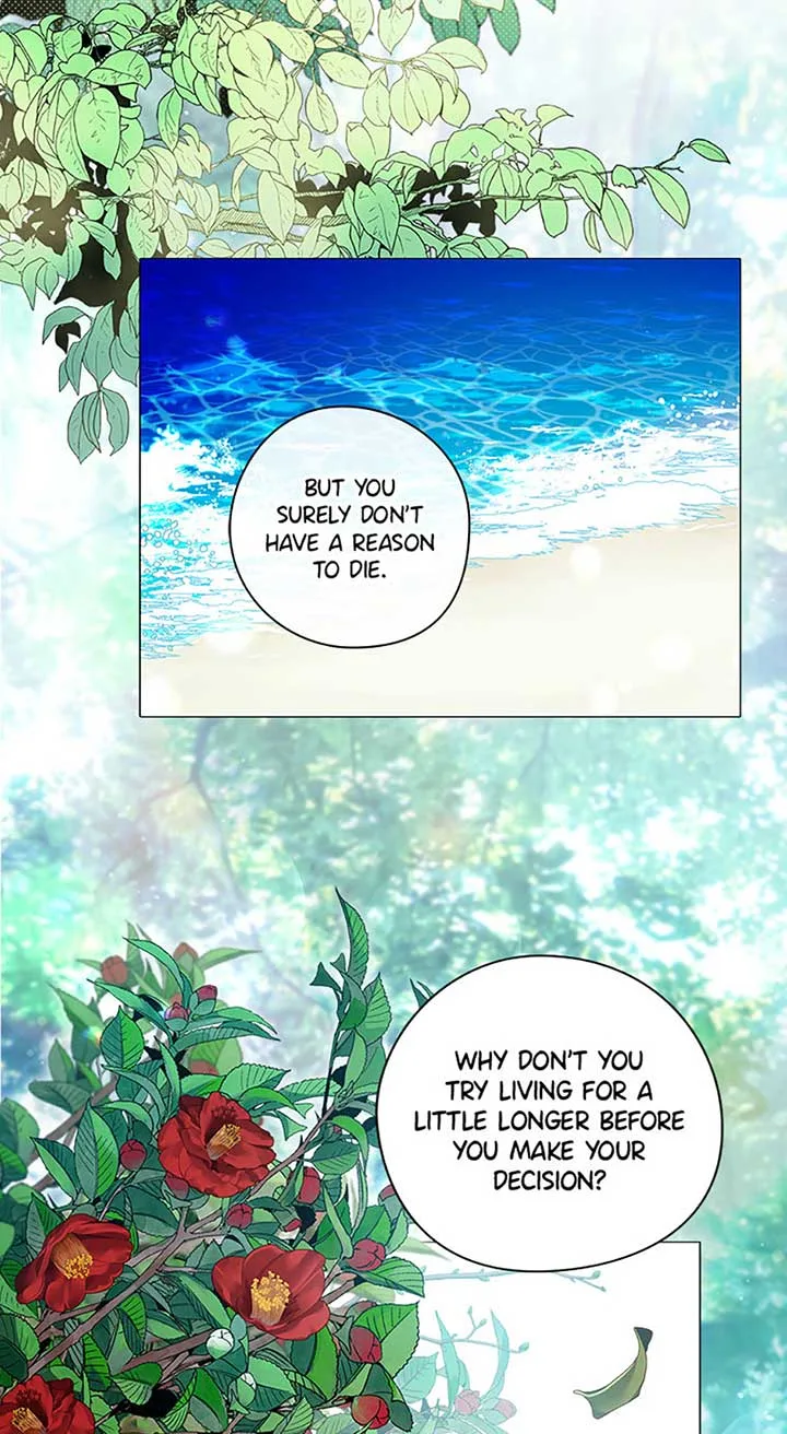 Welcome to Horong Café Chapter 1 page 3