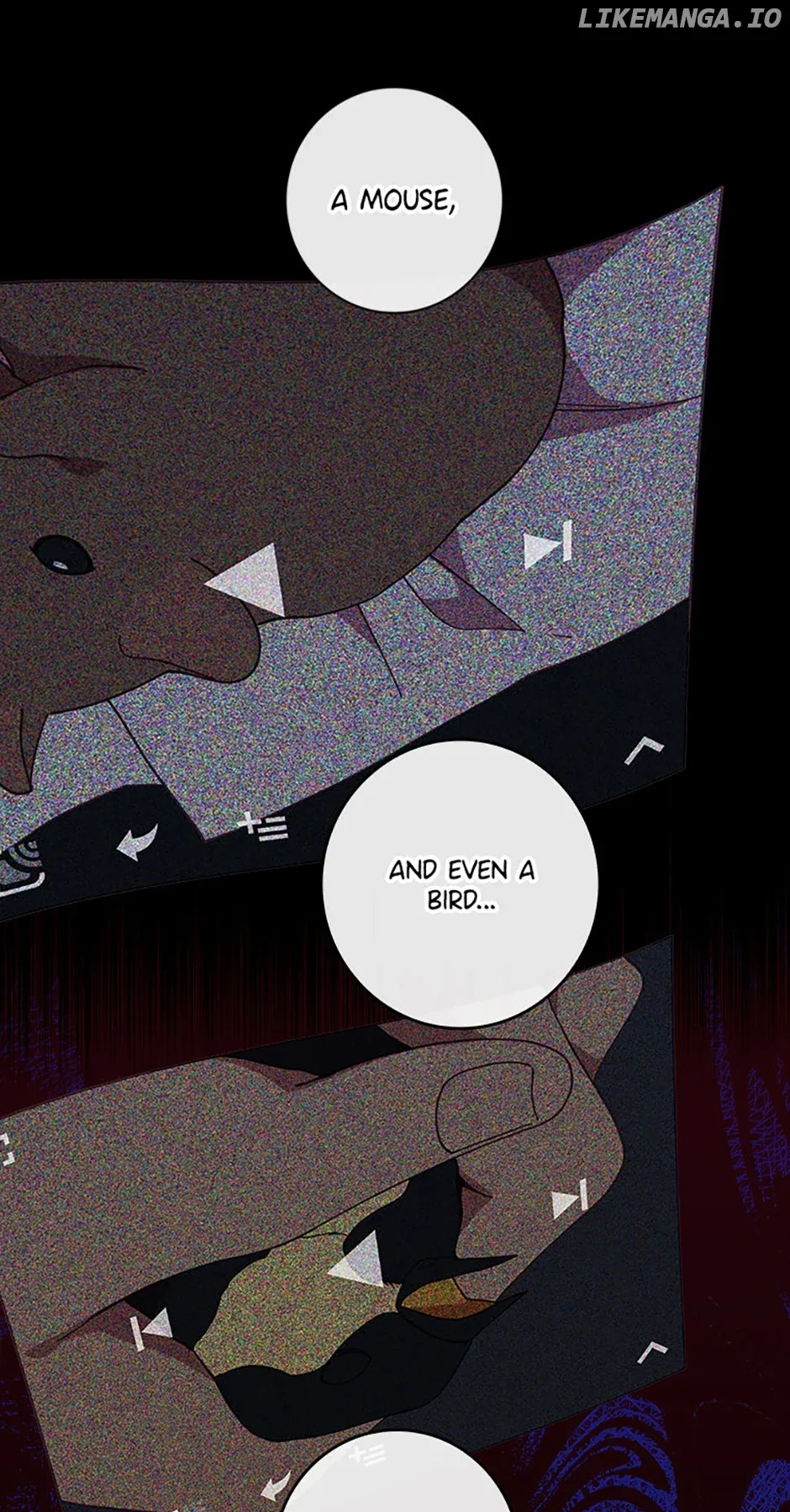Welcome to Horong Café Chapter 21 page 5