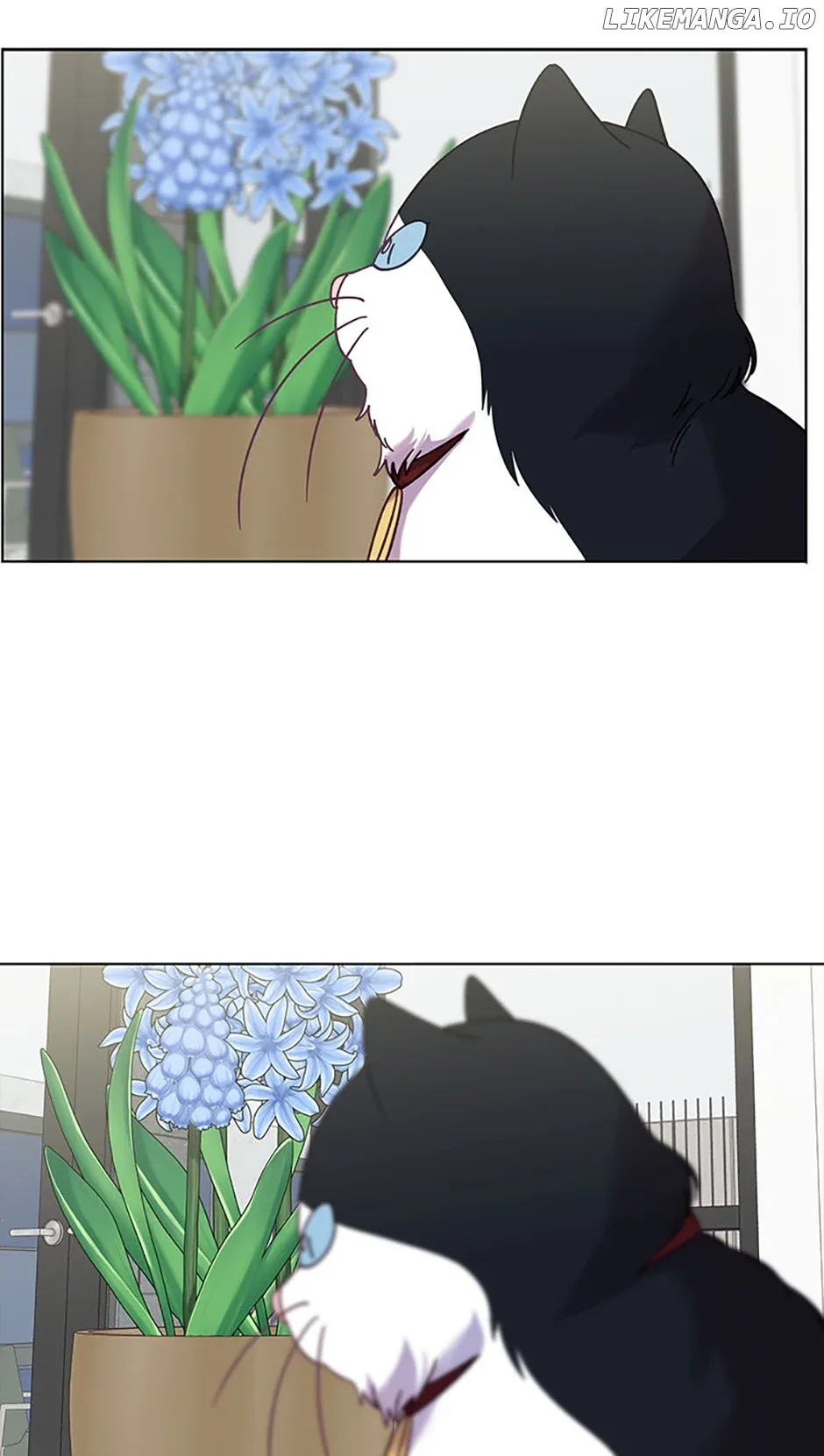 Welcome to Horong Café Chapter 24 page 35