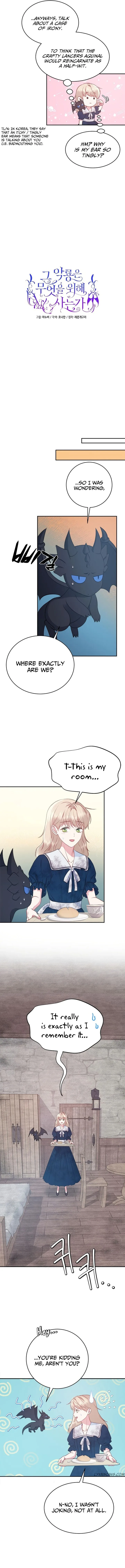 What Does That Evil Dragon Live For? Chapter 5 page 11