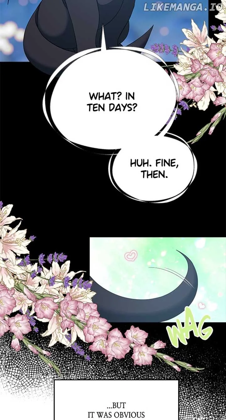 What Does That Evil Dragon Live For? Chapter 63 page 73