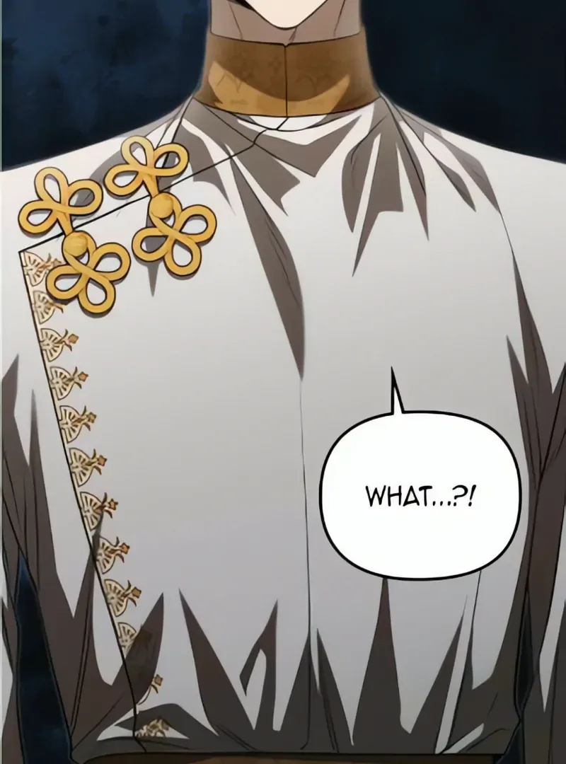 What Happens When the Second Male Lead Goes on Strike Chapter 68 page 4