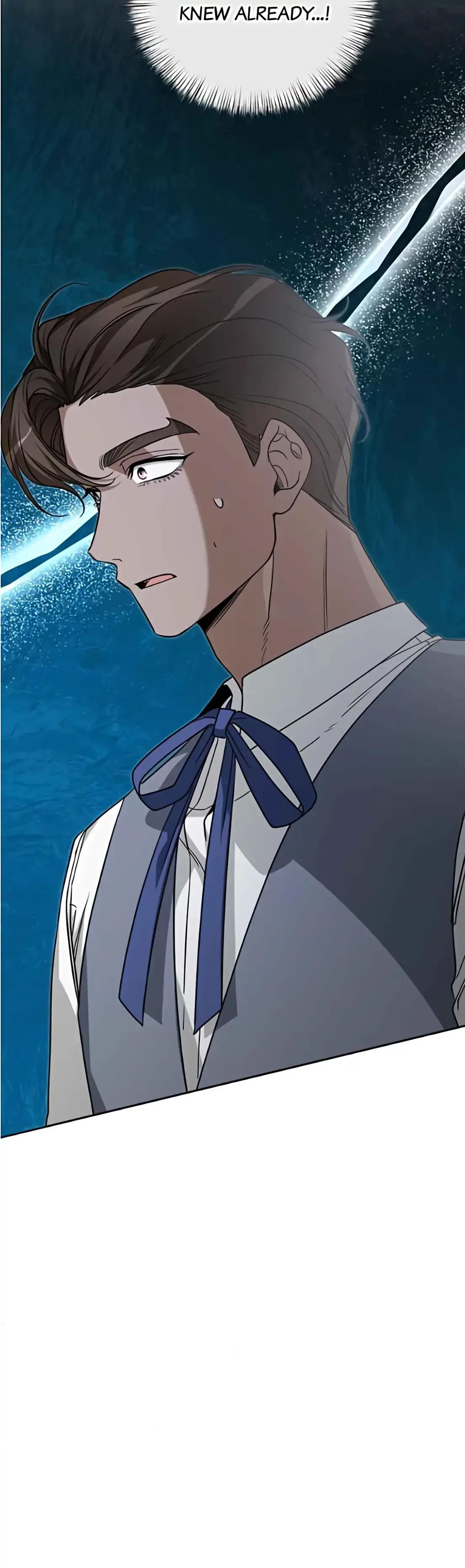 What Happens When the Second Male Lead Goes on Strike Chapter 71 page 11