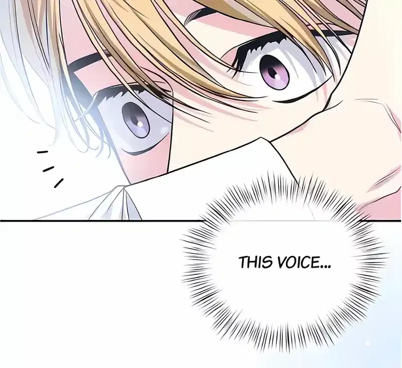 What Happens When the Second Male Lead Goes on Strike Chapter 66 page 63