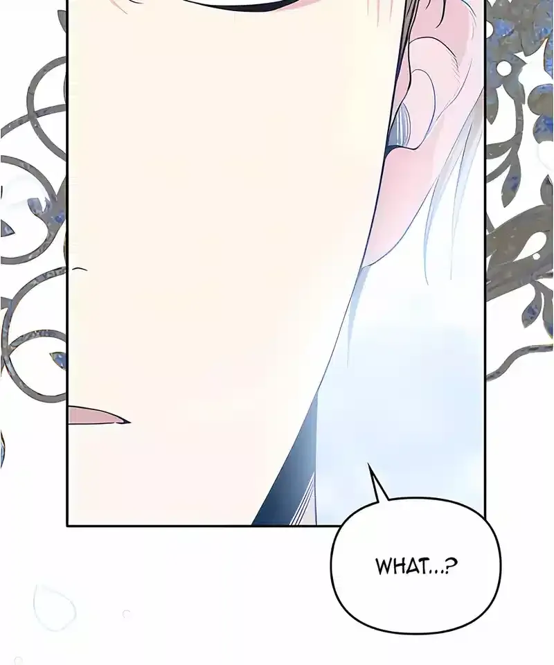 What Happens When the Second Male Lead Goes on Strike Chapter 66 page 97