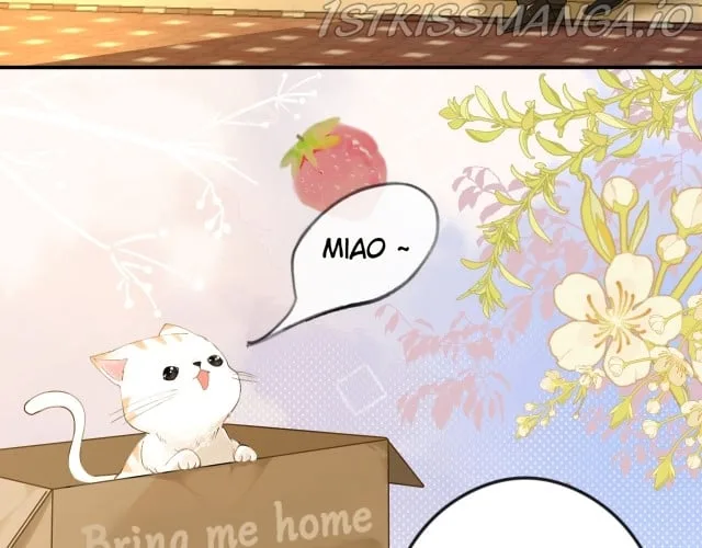 What Should I Do If I Found A Witch? Chapter 1 page 68