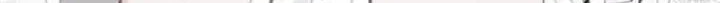 What Was Meant to Be a Contract Marriage Turned Into the Duke’s Obsession Chapter 1 page 20