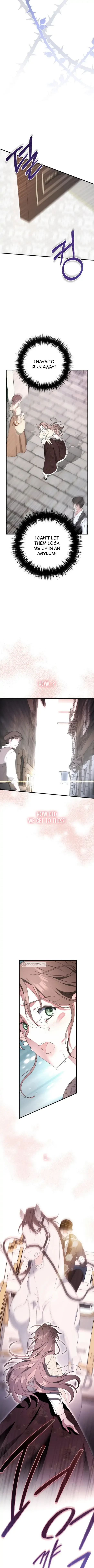 When I Stopped Being Your Shadow Chapter 1 page 19
