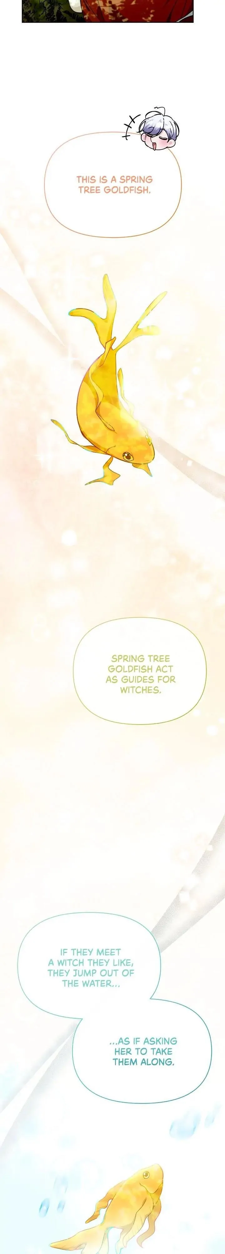 When the Witch’s Daughter Lifts the Male Lead’s Curse Chapter 31 page 27